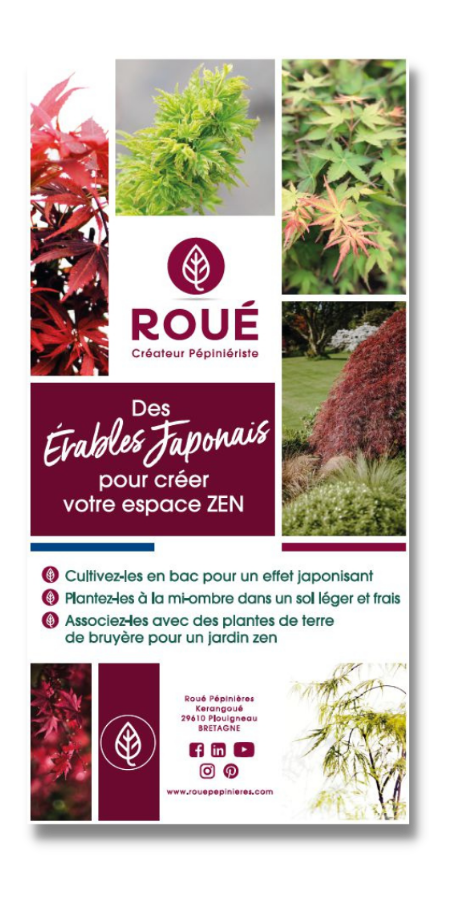 ILV erable roue