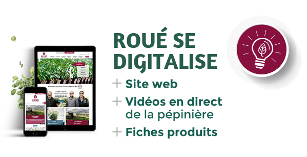 Roue se digitalise-1