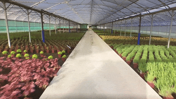 GIF roue pepinieres serres